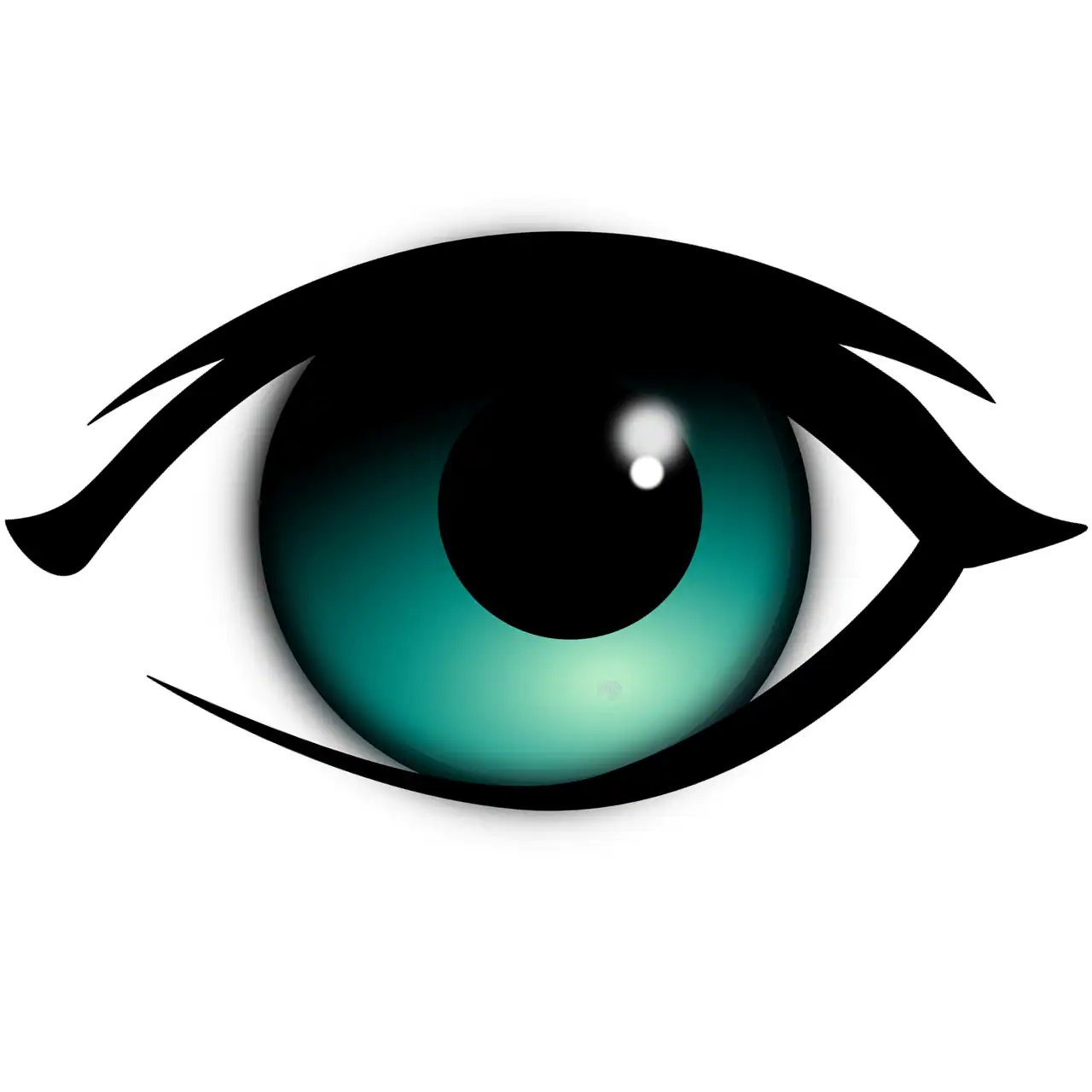 Compelling Visuals