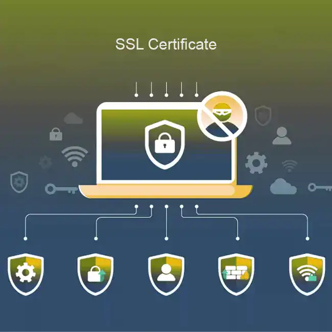Know Your Hosting: Why SSL Certificates Are Non-Negotiable 4 SSL Certificate