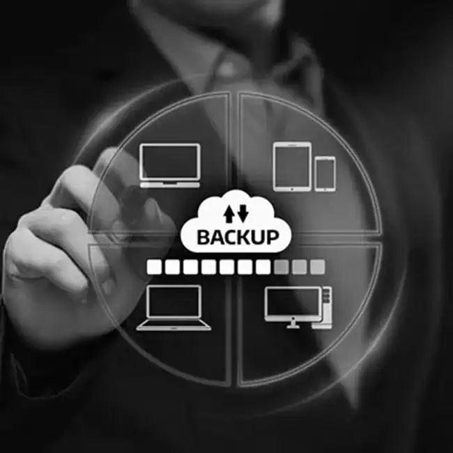 Know Your Hosting: How Backups Keep Your Website Safe 1 web hosting backups